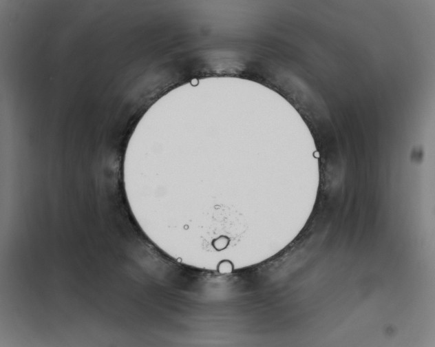 X0000101200321200807251031