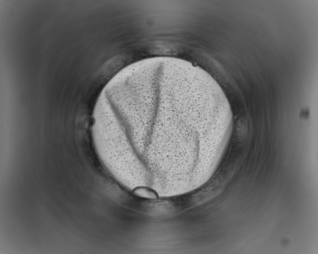 X0000101200322200807251031