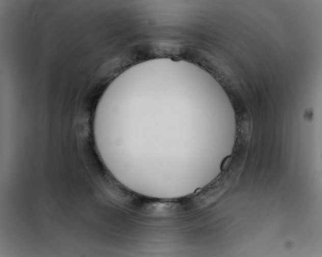 X0000101200323200807251031