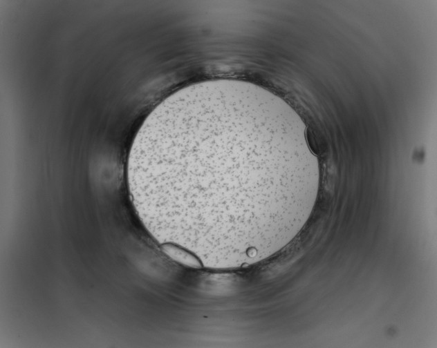X0000101200324200807251031