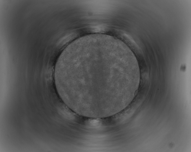 X0000101200325200807251031