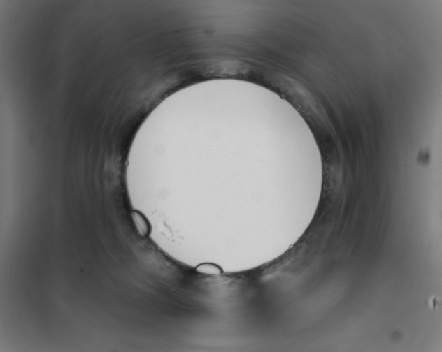 X0000101200326200807251031