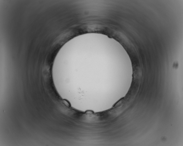 X0000101200327200807251031