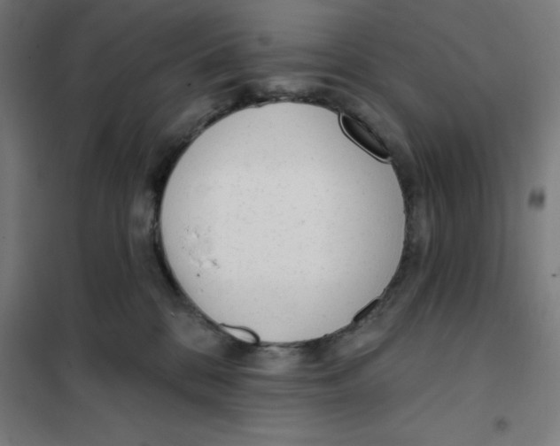 X0000101200328200807251031