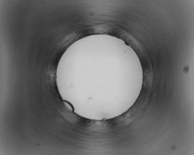 X0000101200329200807251031