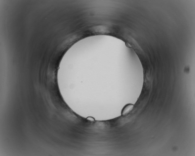 X0000101200330200807251031