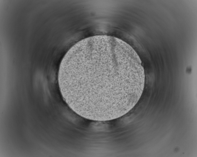 X0000101200331200807251031