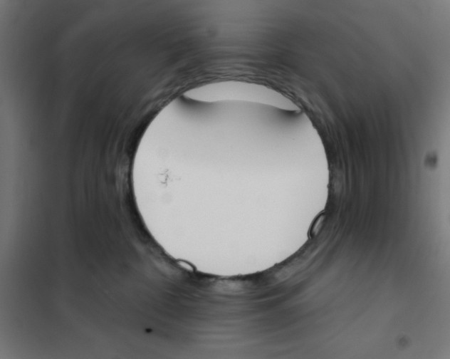 X0000101200332200807251031