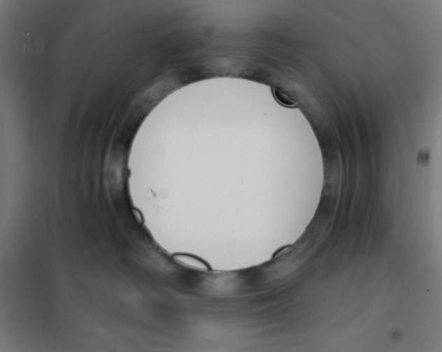 X0000101200334200807251031