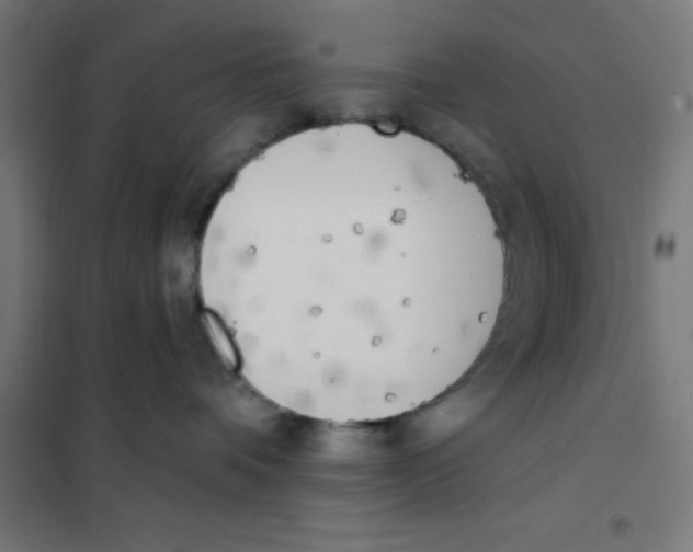 X0000101200336200807251031