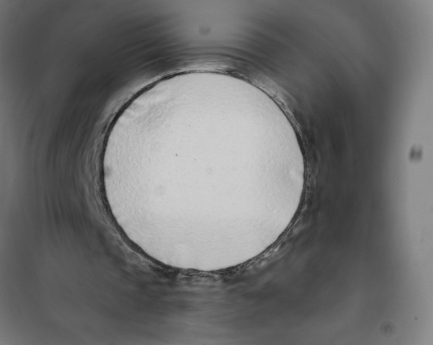 X0000101200337200807251031