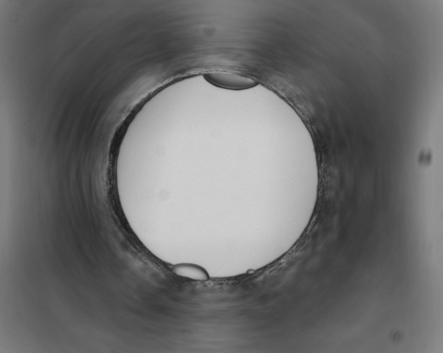 X0000101200338200807251031