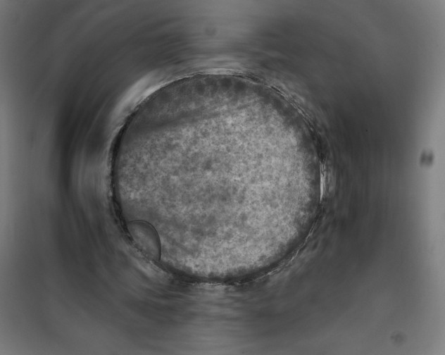 X0000101200339200807251031
