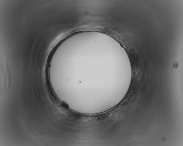 X0000101200340200807251031