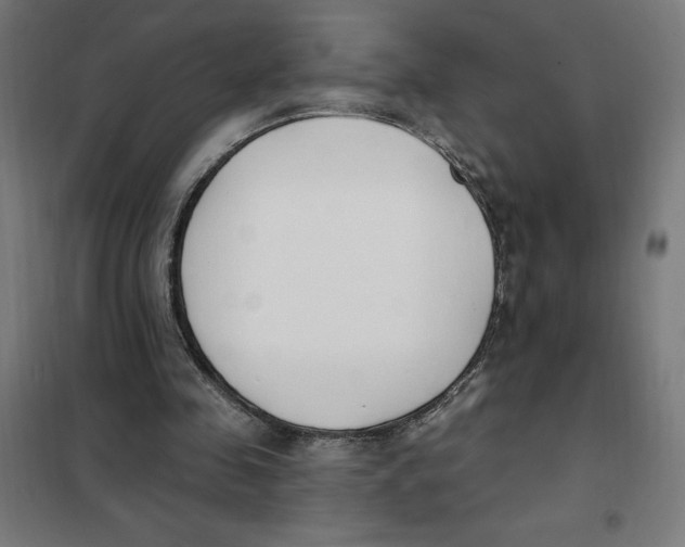 X0000101200341200807251031