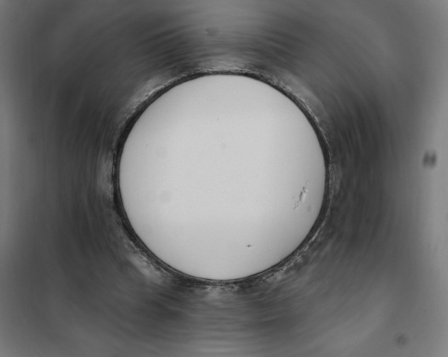 X0000101200345200807251031
