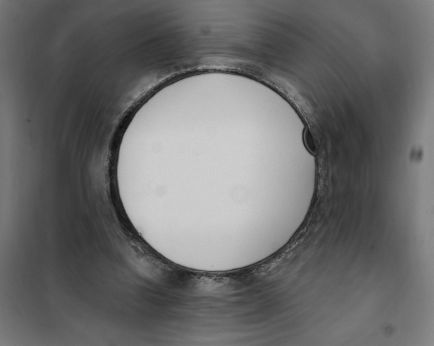 X0000101200346200807251031