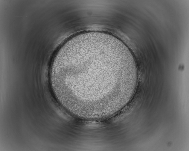 X0000101200347200807251031