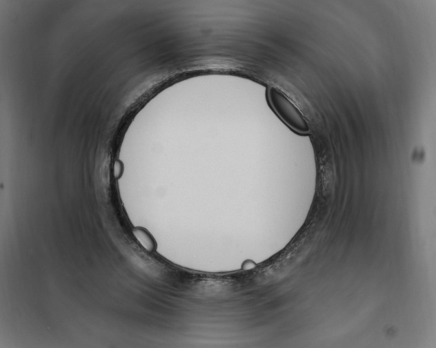 X0000101200350200807251031