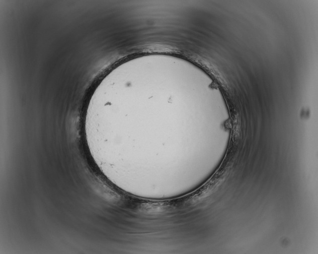 X0000101200351200807251031