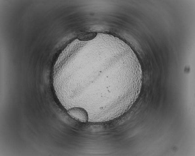 X0000101200353200807251031