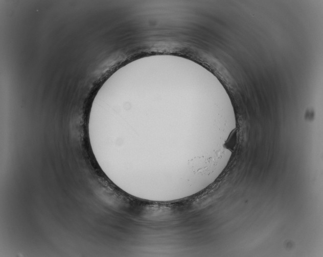 X0000101200354200807251031