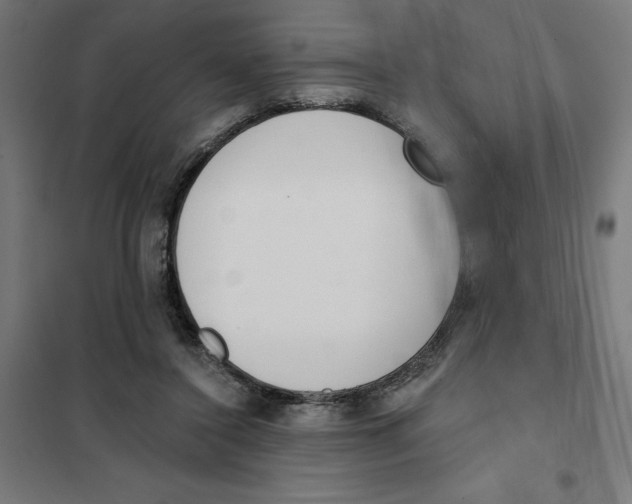 X0000101200356200807251031