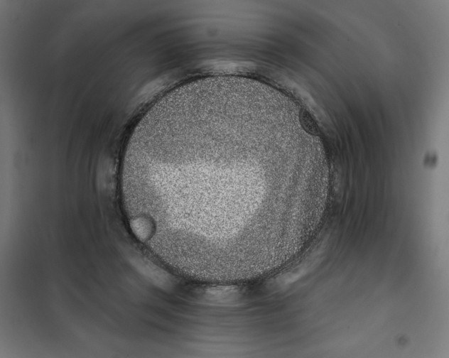X0000101200357200807251031
