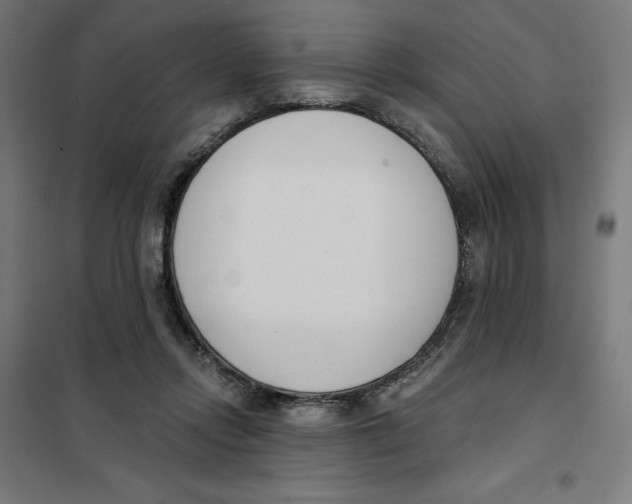 X0000101200358200807251031