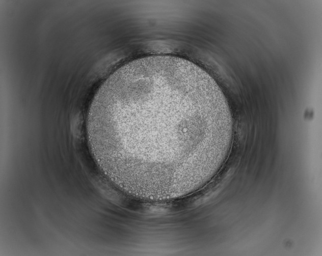 X0000101200359200807251031