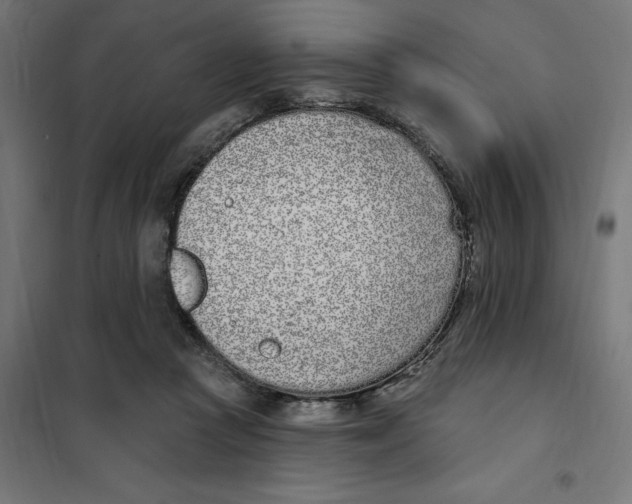 X0000101200361200807251031