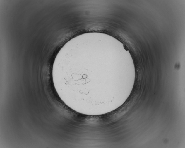 X0000101200362200807251031