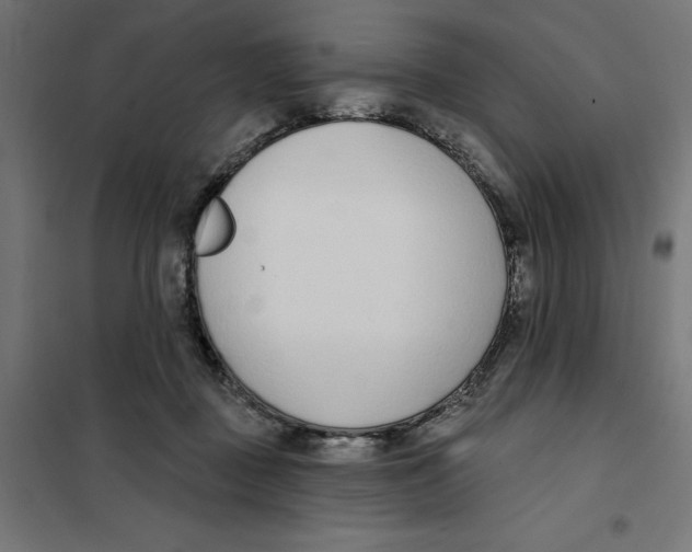 X0000101200363200807251031
