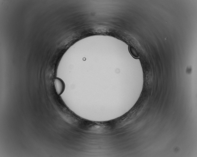 X0000101200364200807251031