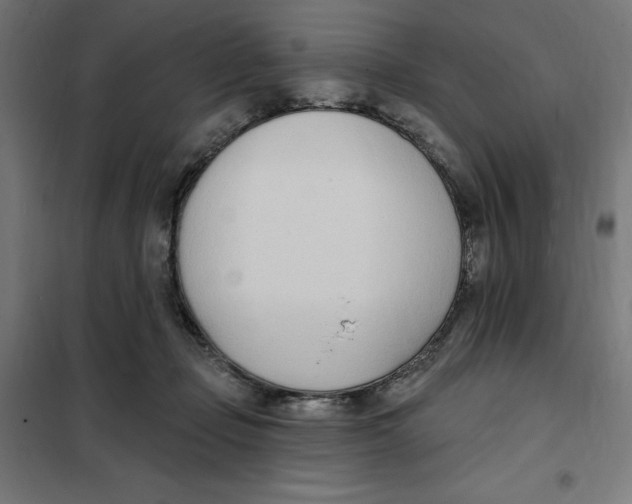 X0000101200365200807251031