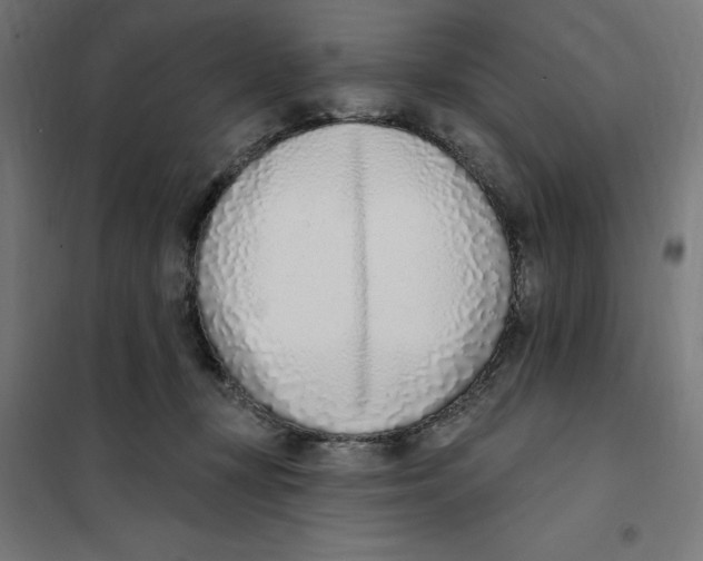X0000101200367200807251031