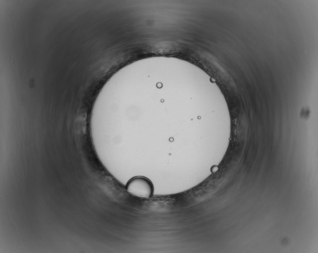 X0000101200368200807251031