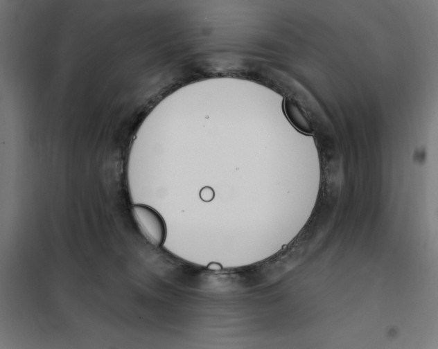 X0000101200372200807251031