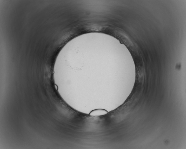 X0000101200374200807251031