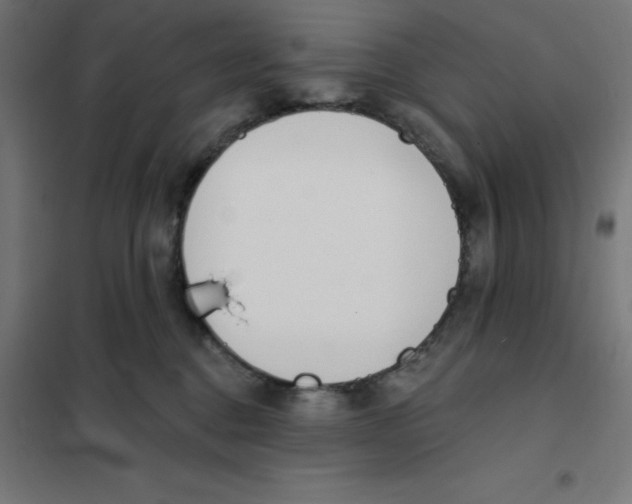 X0000101200376200807251031