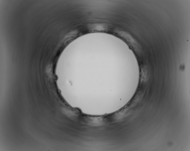 X0000101200377200807251031