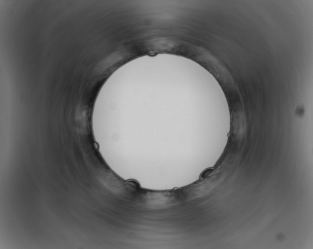 X0000101200378200807251031