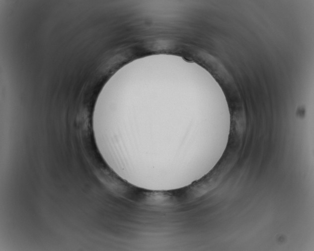 X0000101200380200807251031