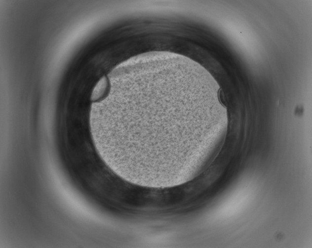 X0000101200383200807251031