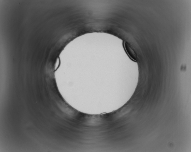 X0000101200384200807251031
