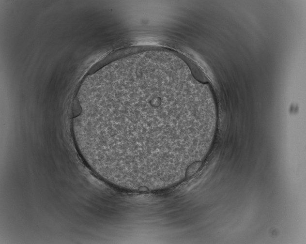 X0000101200385200807251031