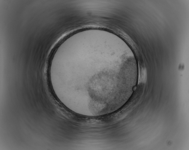 X0000101200387200807251031