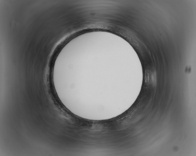 X0000101200388200807251031