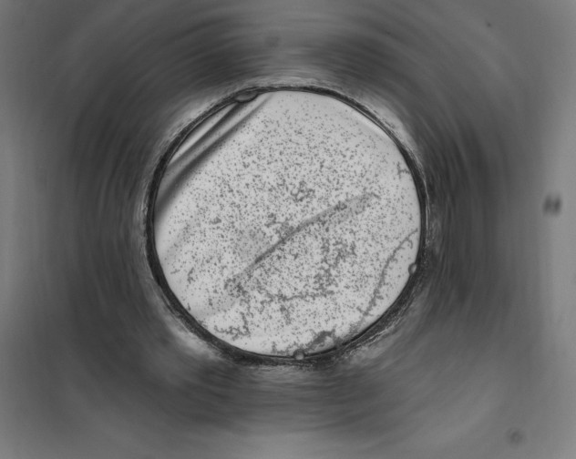 X0000101200389200807251031