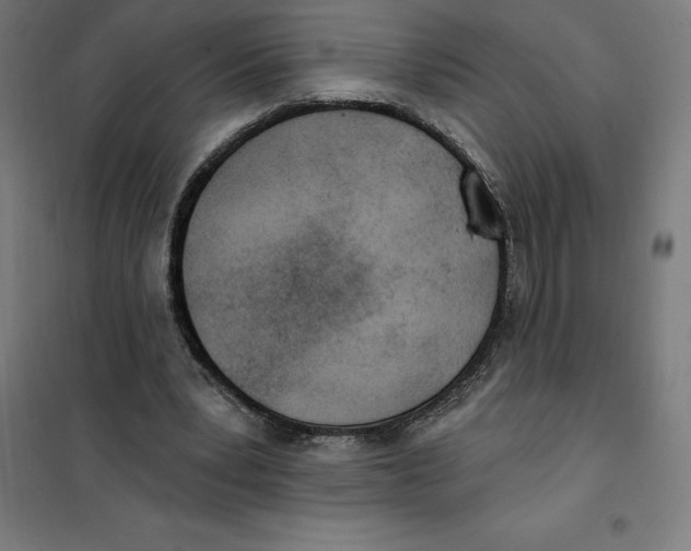 X0000101200391200807251030